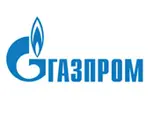 Логотип Газпром — партнёр ООО Стальные Системы